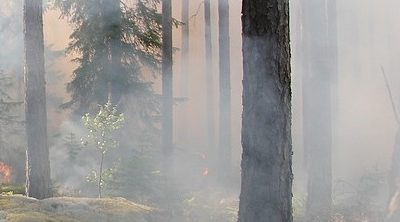 Wildfire, Drought Increase the Need for Water Conservation 